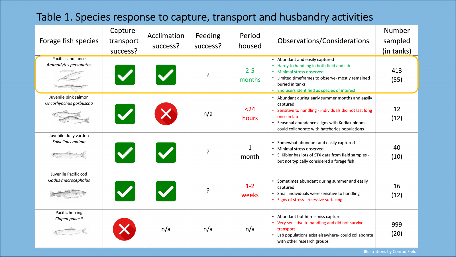 First Advised Balanced Active Transported Small Fish Species